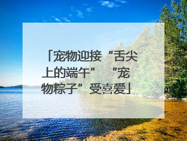 宠物迎接“舌尖上的端午” “宠物粽子”受喜爱