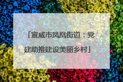 宣威市凤凰街道：党建助推建设美丽乡村
