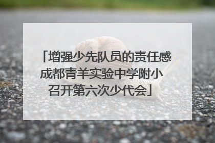 增强少先队员的责任感 成都青羊实验中学附小召开第六次少代会