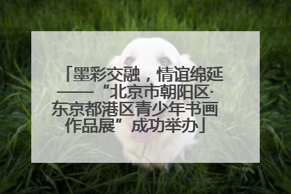 墨彩交融，情谊绵延——“北京市朝阳区·东京都港区青少年书画作品展”成功举办