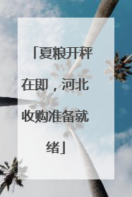 夏粮开秤在即，河北收购准备就绪