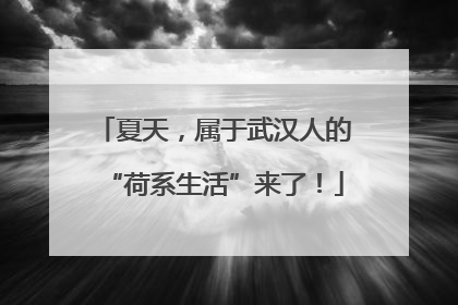 夏天，属于武汉人的“荷系生活”来了！