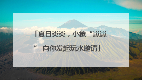 夏日炎炎，小象“崽崽” 向你发起玩水邀请