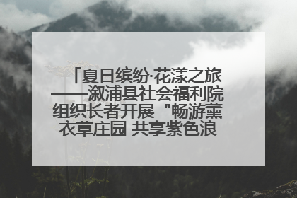 夏日缤纷·花漾之旅——溆浦县社会福利院组织长者开展“畅游薰衣草庄园 共享紫色浪漫”户外活动