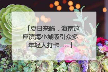 夏日来临，海南这座滨海小城吸引众多年轻人打卡……