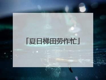 夏日梯田劳作忙