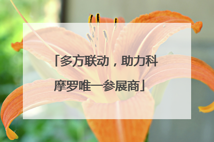 多方联动，助力科摩罗唯一参展商
