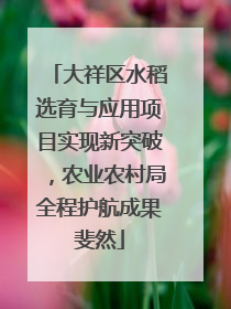 大祥区水稻选育与应用项目实现新突破，农业农村局全程护航成果斐然