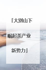 大别山下崛起茶产业新势力