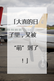 大喜的日子里，又被“萌”到了！