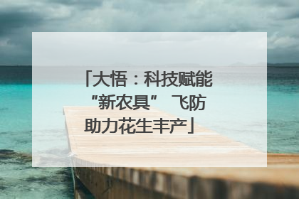 大悟：科技赋能“新农具” 飞防助力花生丰产