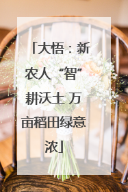 大悟：新农人“智”耕沃土 万亩稻田绿意浓