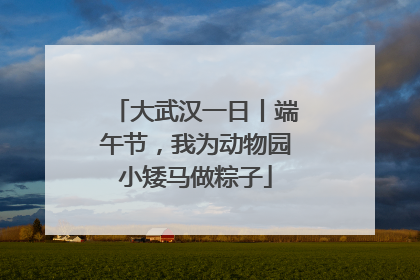 大武汉一日丨端午节，我为动物园小矮马做粽子