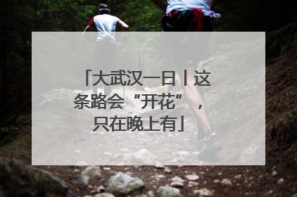 大武汉一日丨这条路会“开花”，只在晚上有