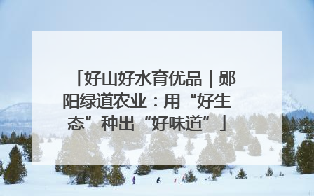 好山好水育优品｜郧阳绿道农业：用“好生态”种出“好味道”