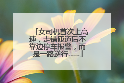 女司机首次上高速，走错匝道后不靠边停车报警，而是一路逆行……