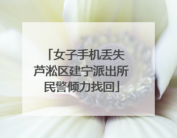 女子手机丢失 芦淞区建宁派出所民警倾力找回