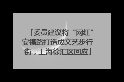 委员建议将“网红”安福路打造成文艺步行街，上海徐汇区回应