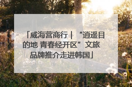 威海营商行｜“逍遥目的地 青春经开区”文旅品牌推介走进韩国