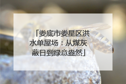娄底市娄星区洪水单屋场：从煤灰蔽日到绿意盎然
