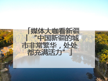 媒体大咖看新疆丨“中国新疆的城市非常繁华，处处都充满活力”