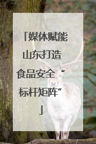 媒体赋能 山东打造食品安全“标杆矩阵”