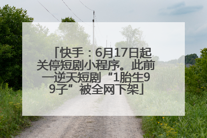 快手：6月17日起关停短剧小程序。此前一逆天短剧“1胎生99子”被全网下架