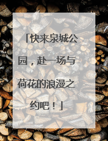 快来泉城公园，赴一场与荷花的浪漫之约吧！