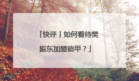 快评丨如何看待樊振东加盟德甲？