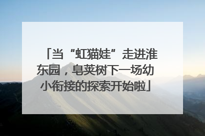 当“虹猫娃”走进淮东园，皂荚树下一场幼小衔接的探索开始啦