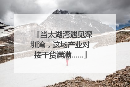当太湖湾遇见深圳湾，这场产业对接干货满满……