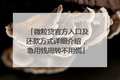 微粒贷官方入口及还款方式详细介绍，急用钱周转不用慌