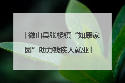 微山县张楼镇“如康家园”助力残疾人就业