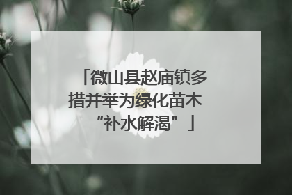 微山县赵庙镇多措并举为绿化苗木“补水解渴”