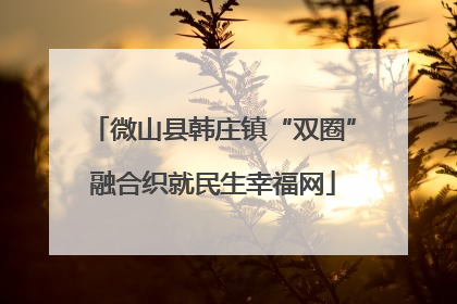 微山县韩庄镇“双圈”融合织就民生幸福网