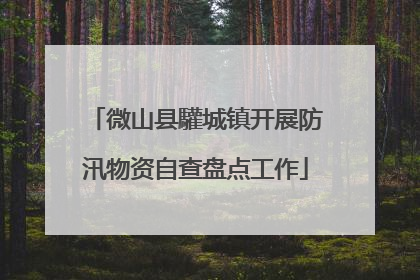 微山县驩城镇开展防汛物资自查盘点工作