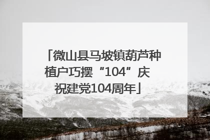 微山县马坡镇葫芦种植户巧摆“104”庆祝建党104周年