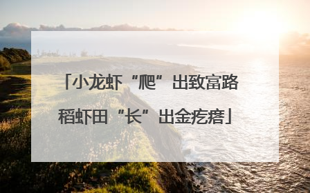 小龙虾“爬”出致富路 稻虾田“长”出金疙瘩