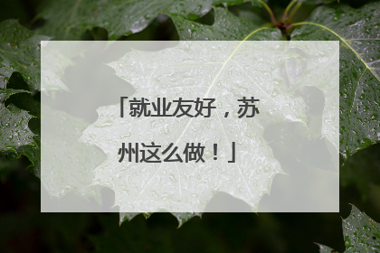 就业友好，苏州这么做！