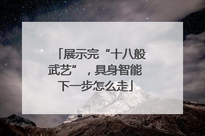 展示完“十八般武艺”，具身智能下一步怎么走