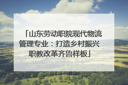 山东劳动职院现代物流管理专业：打造乡村振兴职教改革齐鲁样板