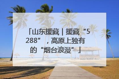 山东援藏｜援藏“5288”，高原上独有的“烟台浪漫”