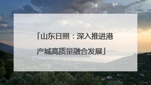 山东日照：深入推进港产城高质量融合发展
