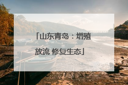 山东青岛：增殖放流 修复生态