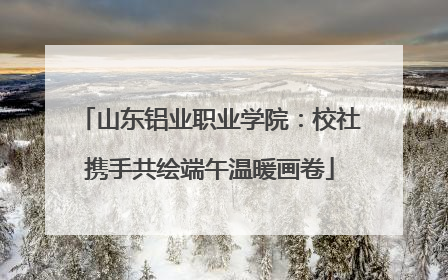 山东铝业职业学院：校社携手共绘端午温暖画卷