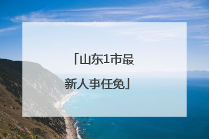 山东1市最新人事任免