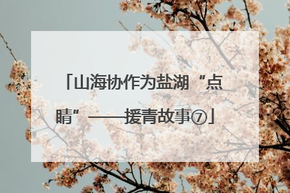 山海协作为盐湖“点睛”——援青故事⑦