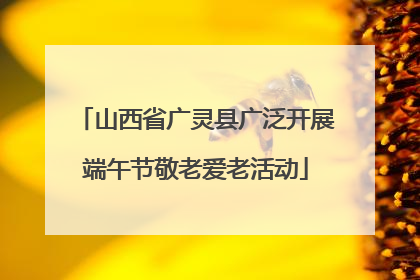 山西省广灵县广泛开展端午节敬老爱老活动