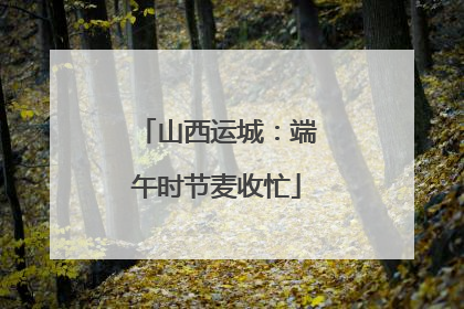 山西运城：端午时节麦收忙
