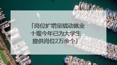 岗位扩增量撬动就业 十堰今年已为大学生提供岗位2万余个